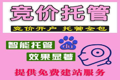 竞价推广SEM托管案例：如何快速提升网站流量